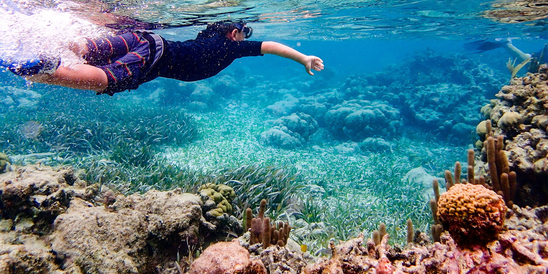 Belize Snorkeling