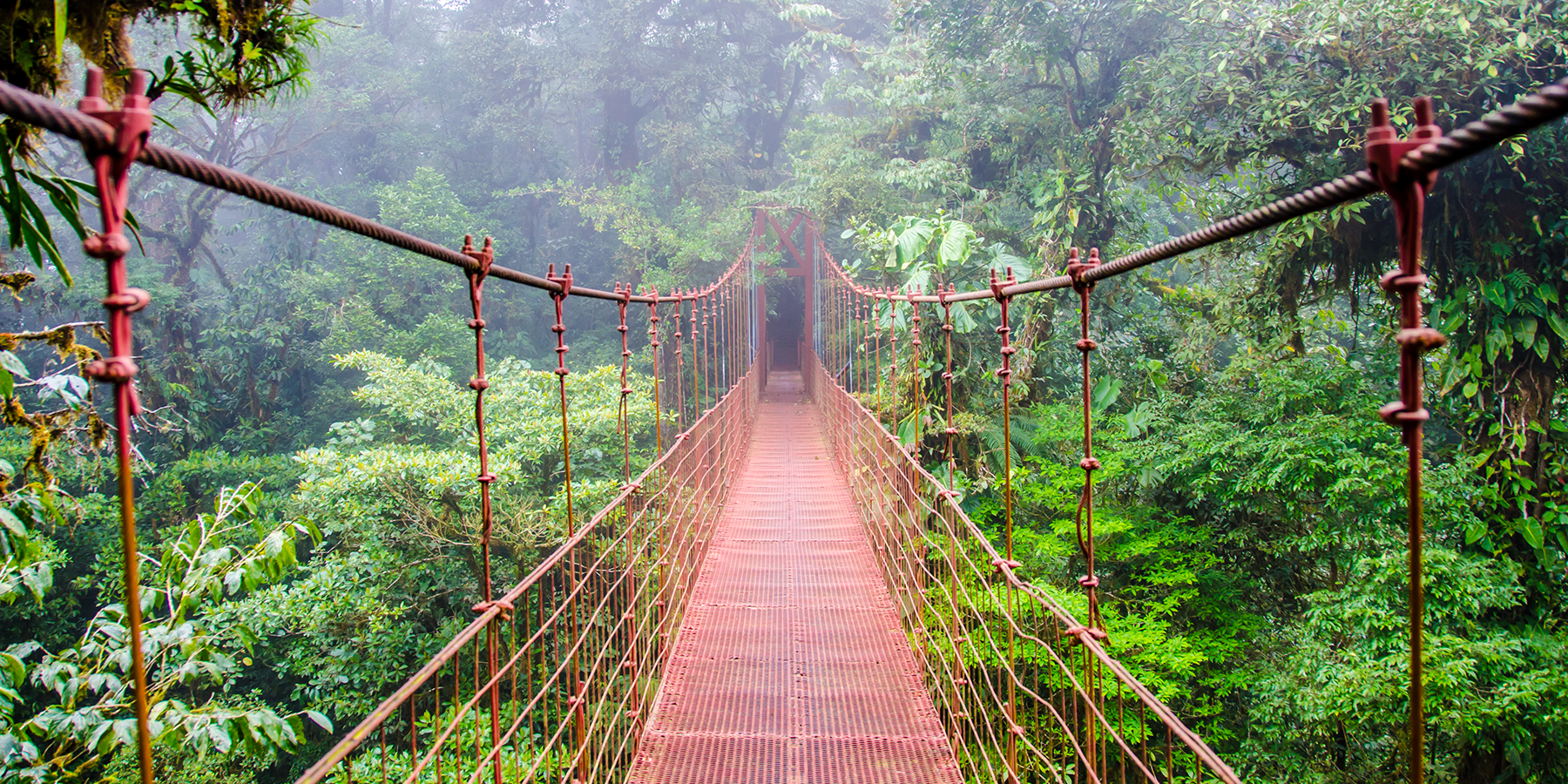 CostaRica-MonteVerdeBridge