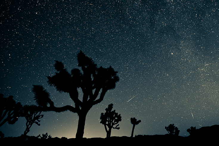 Starry sky above Joshua Tree National Park, California.
