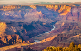 The grand canyon