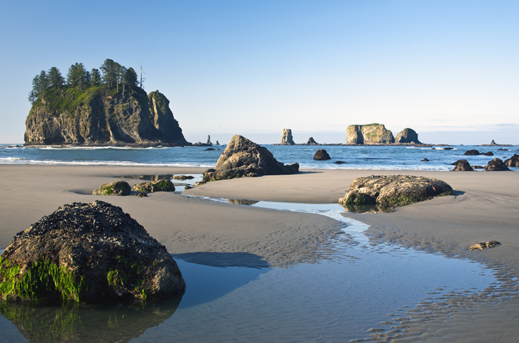 Second beach in Olympic National Park