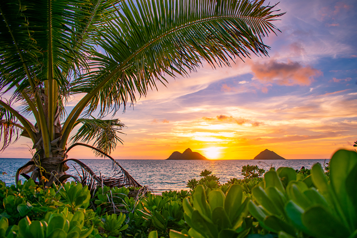 Hawaii views of the sunset in a romantic setting