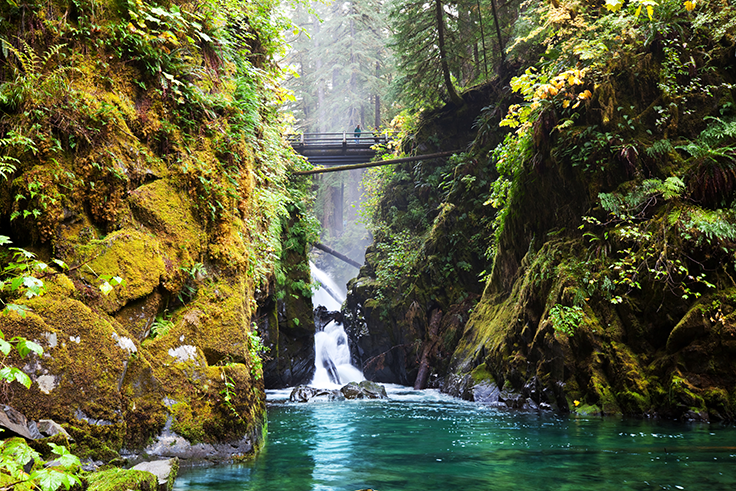 Sol Duc River cascades through the Hoh Rainforest on the Olympic Peninsula in Washington