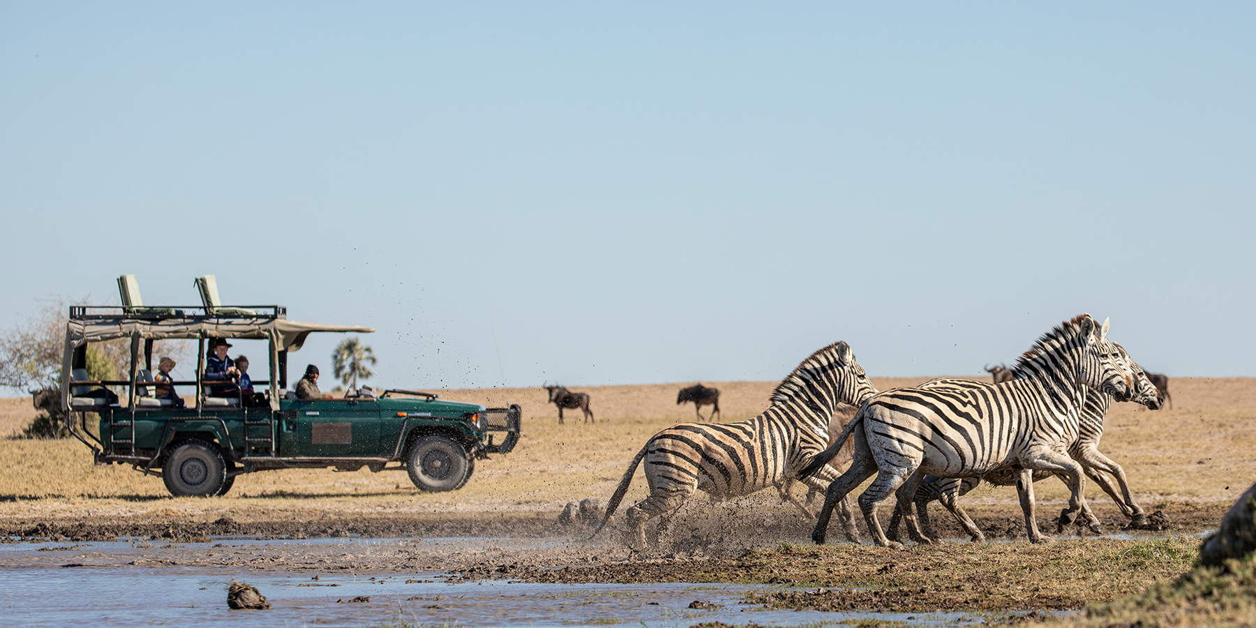 Botswana Off the Beaten Path Safari, Okavango Game Drive
