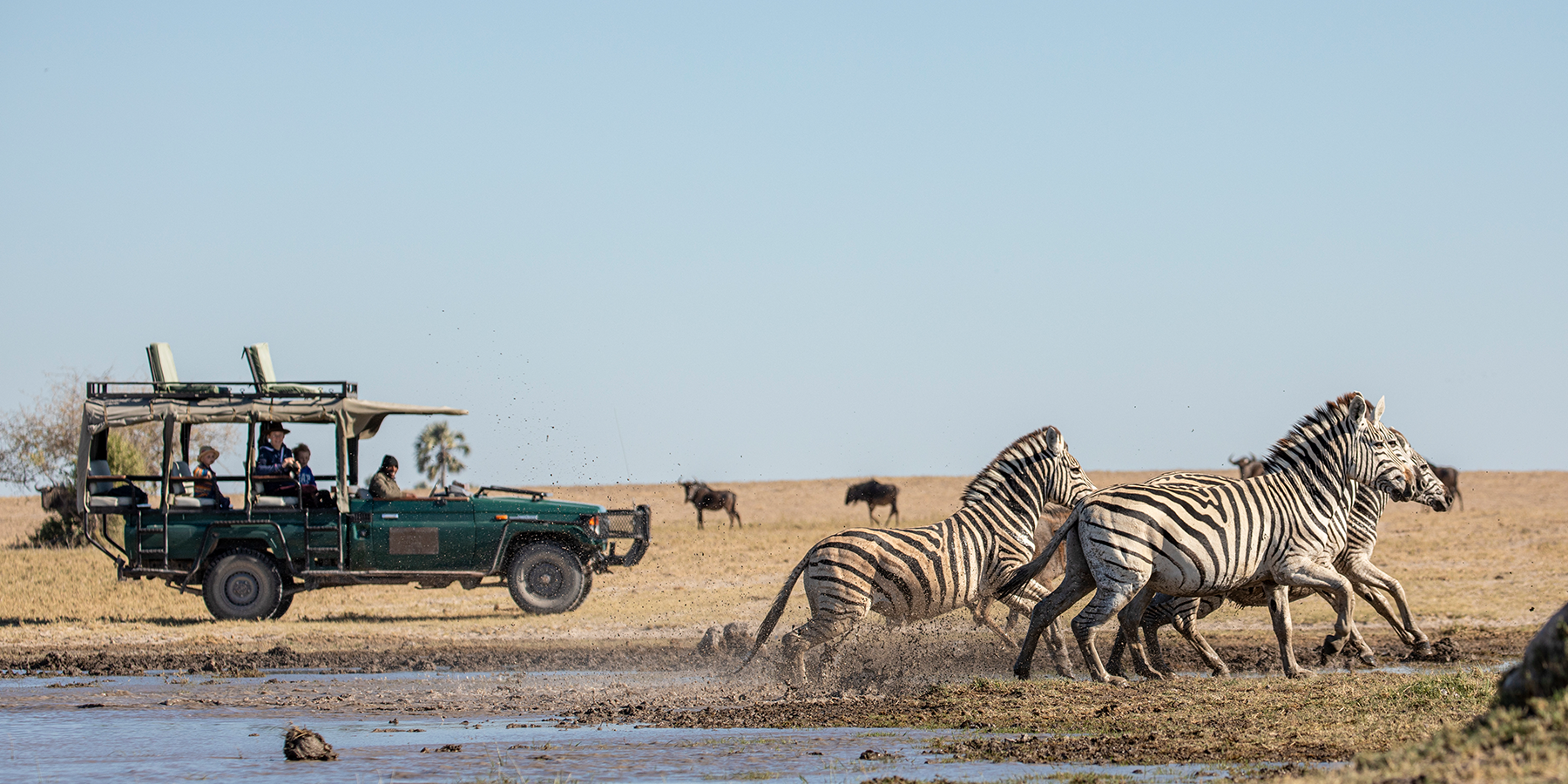 Botswana Off the Beaten Path Safari, Okavango Game Drive Botswana Off the Beaten Path Safari, Okavango Game Drive