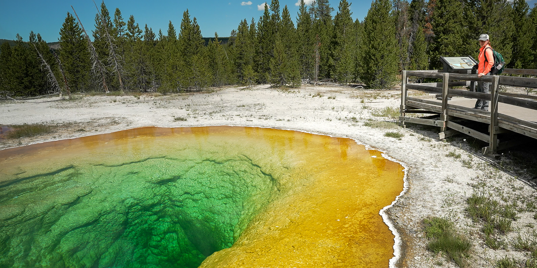 Essence of Yellowstone and Grand Teton, Small Group Adventure