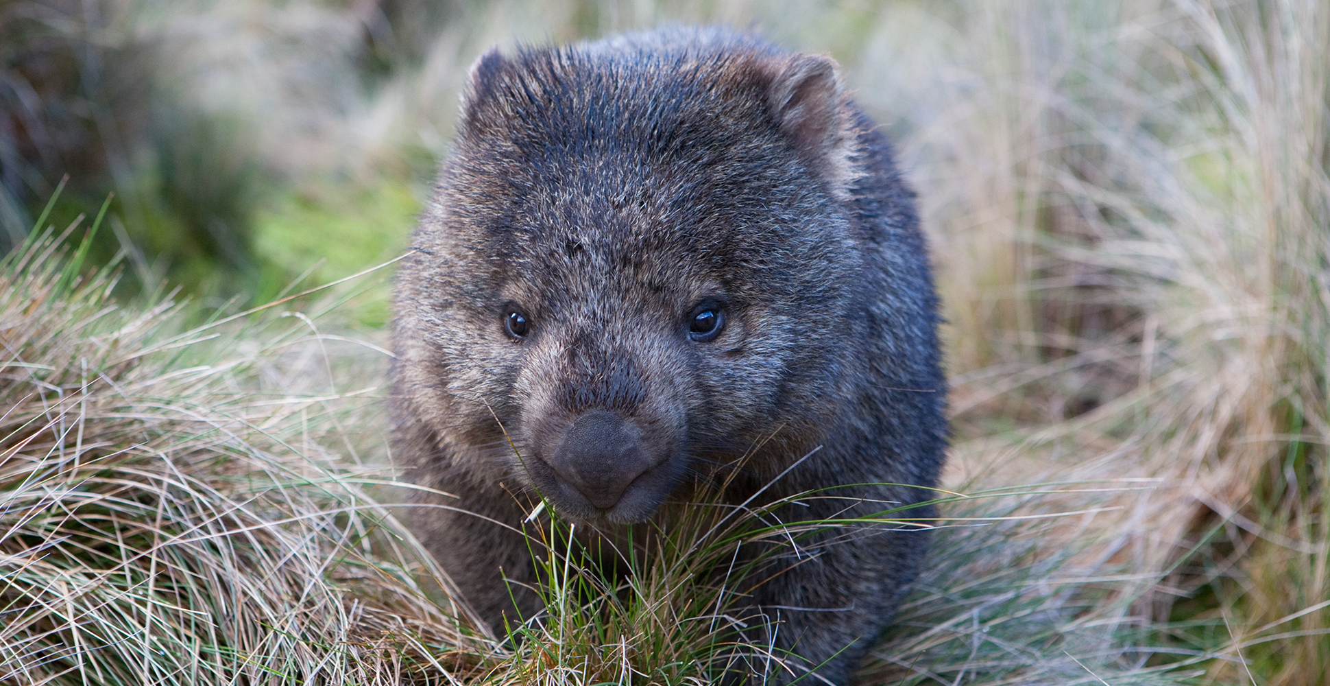 Australia - Off the Beaten Path