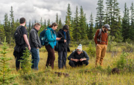 Exploring the McKinley Bar Trail in Denali National Park, Alaska.