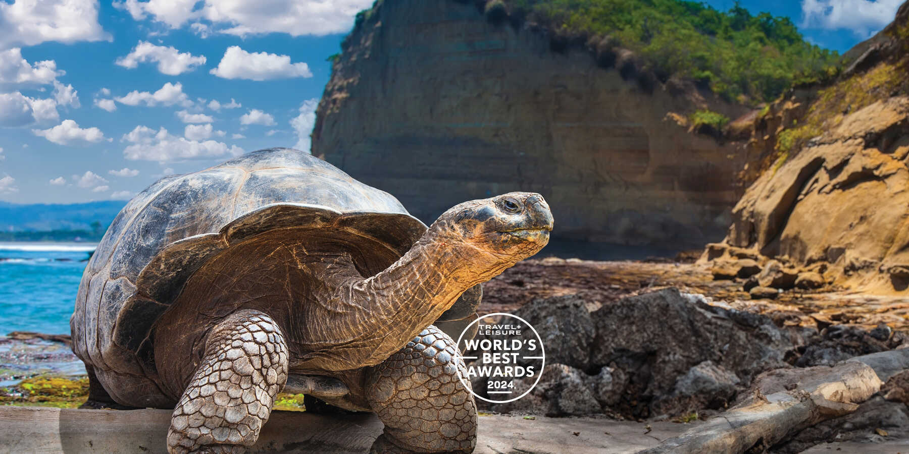 OBP-Home-Hero-Jan25_SA_Ecuador-Galapagos_1800 x 900