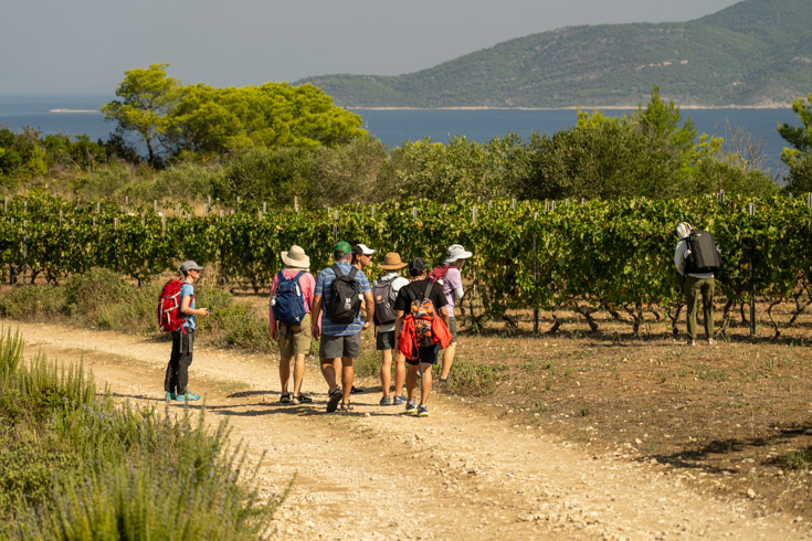 travelers gathered on a dirt path on the Island of Biševo off Croatia's Dalmatian Coast.