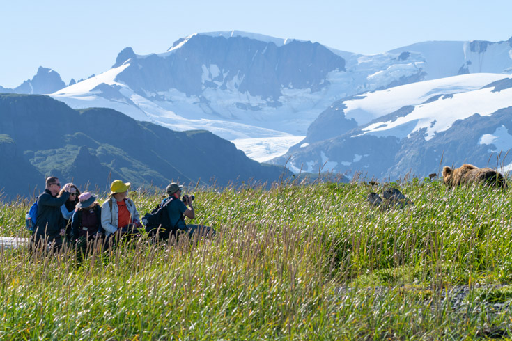 a group of photographers gathering to take photos of grizzly bears in Alaska