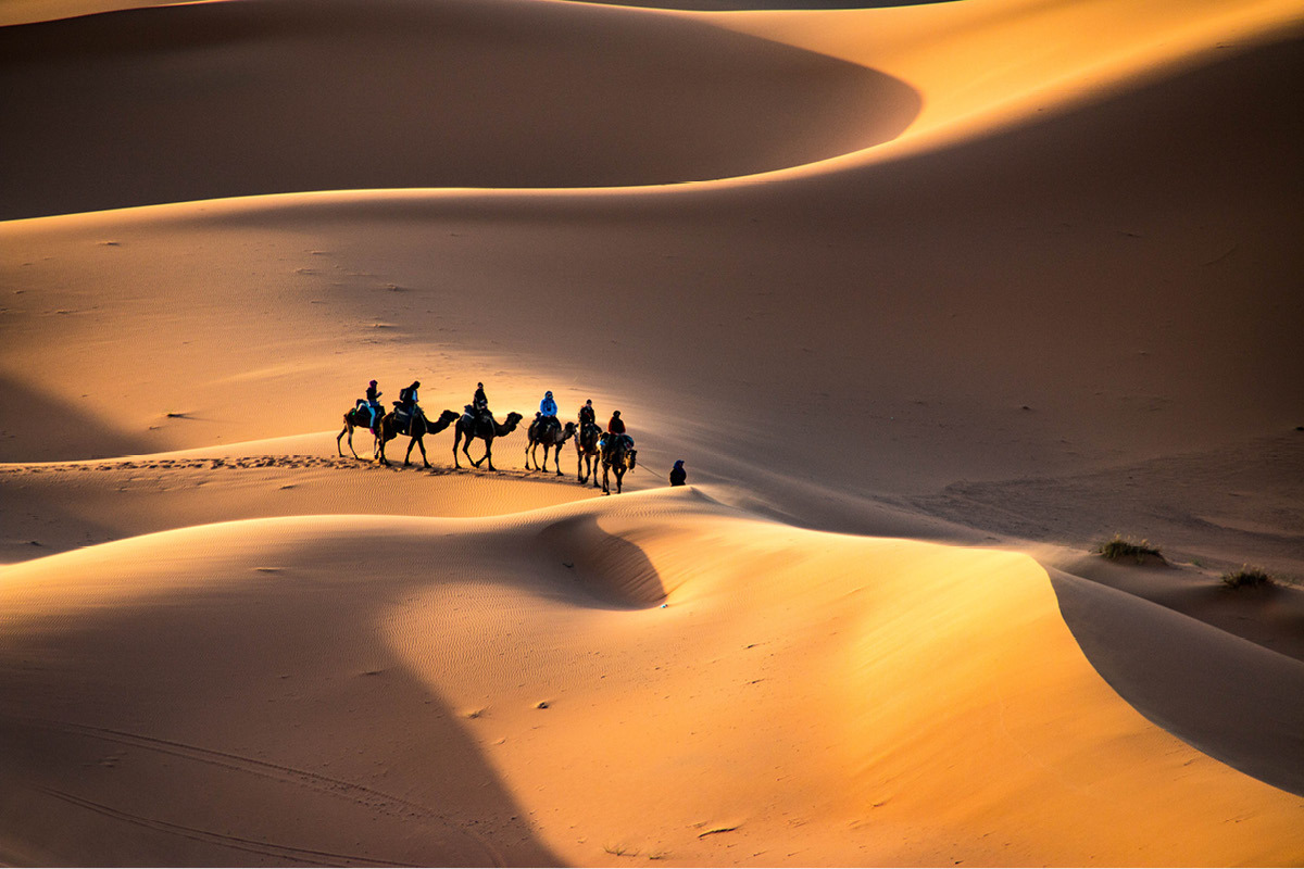 a group of travelers on camelback amidst sand dunes in Morocco