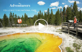 female traveler looking over thermal feature in yellowstone national park as part of an off the beaten path group adventure