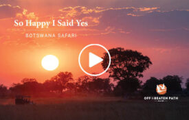 botswana safari sunset taken by travelers from off the beaten path safari trip