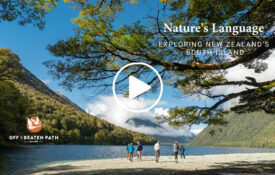 New Zealand's South Island with Off the Beaten Path guests viewing awesome landscape