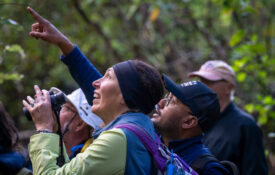 New Zealand_BEN05967_web bird watchers | off the beaten path travelers in new zealand