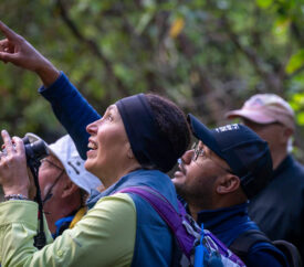 bird watchers | off the beaten path travelers in new zealand