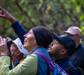 bird watchers | off the beaten path travelers in new zealand