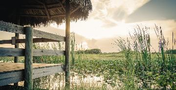 Everglades National Park