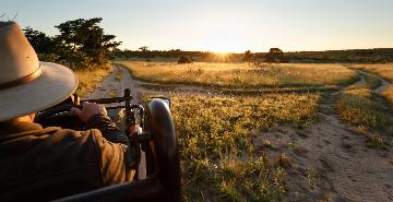 On safari drive in South Africa