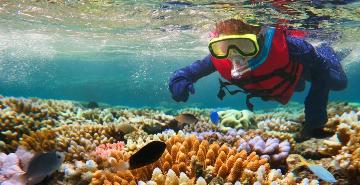 Great Barrier Reef