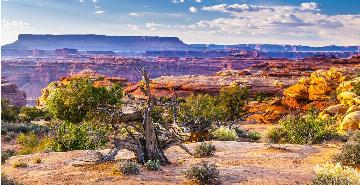 Canyonlands National Park