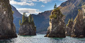 Kenai Fjords