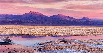 Small lagoons in the Atacama Desert