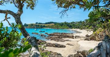 Waiheke Island, New Zealand